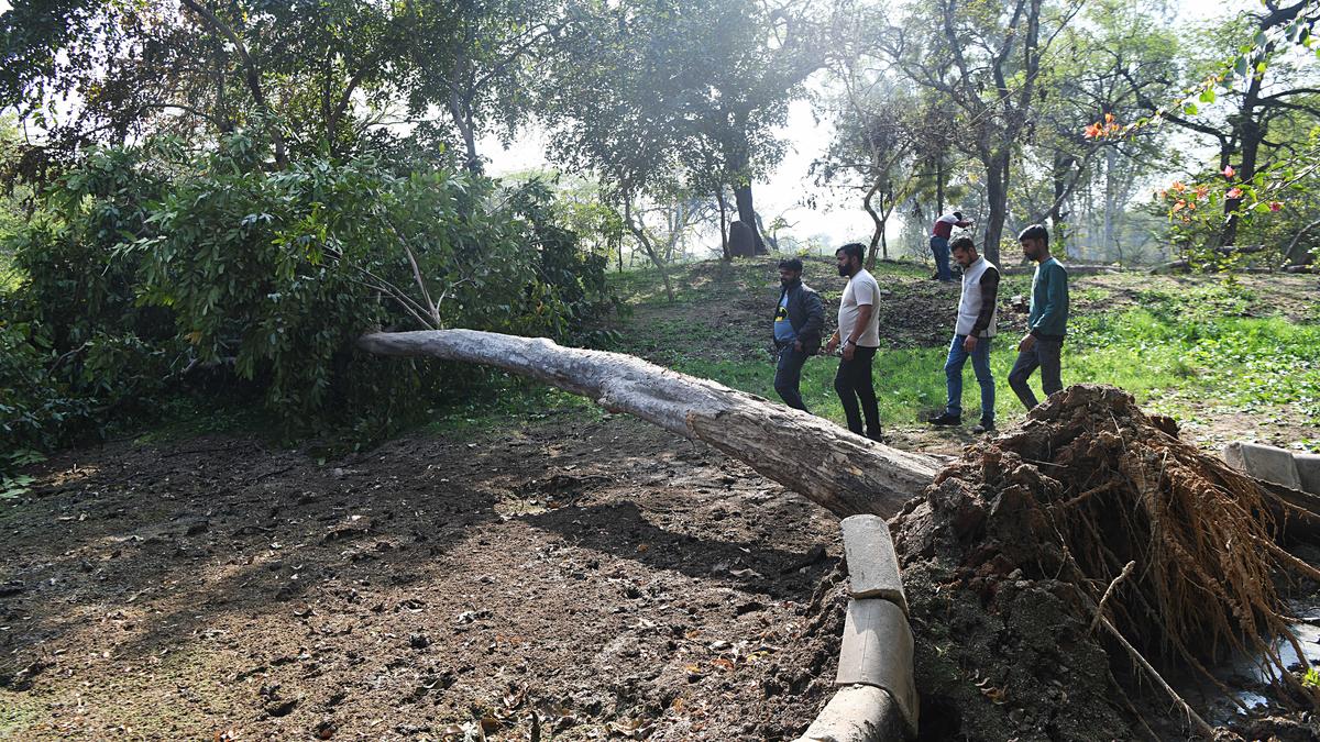 Delhi earthquake: Strong tremors of 4.0 magnitude felt across Delhi, NCR region on February 17 morning