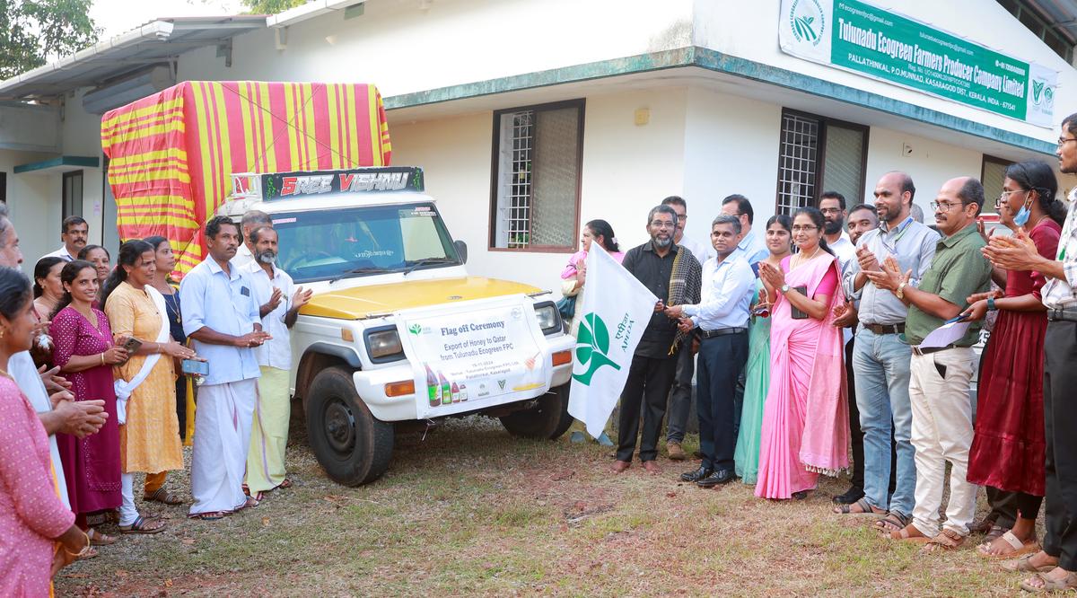 Tulunadu Ecogreen Farmers Producer Company ( FPC) Ltd. at Pallathinkal, Munnadi, Kasaragod, exported the first consignment of 360 kg of honey to Qatar on November 19.