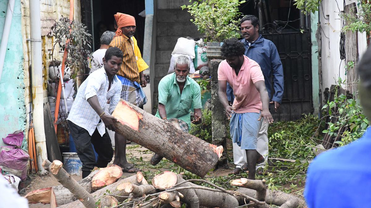 ‘Green waste from cyclone Mandous being put to good use’
