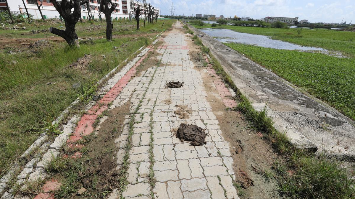 Titled walkway at Sri Raman Thangal Eri in Sholinganallur can do with a better look