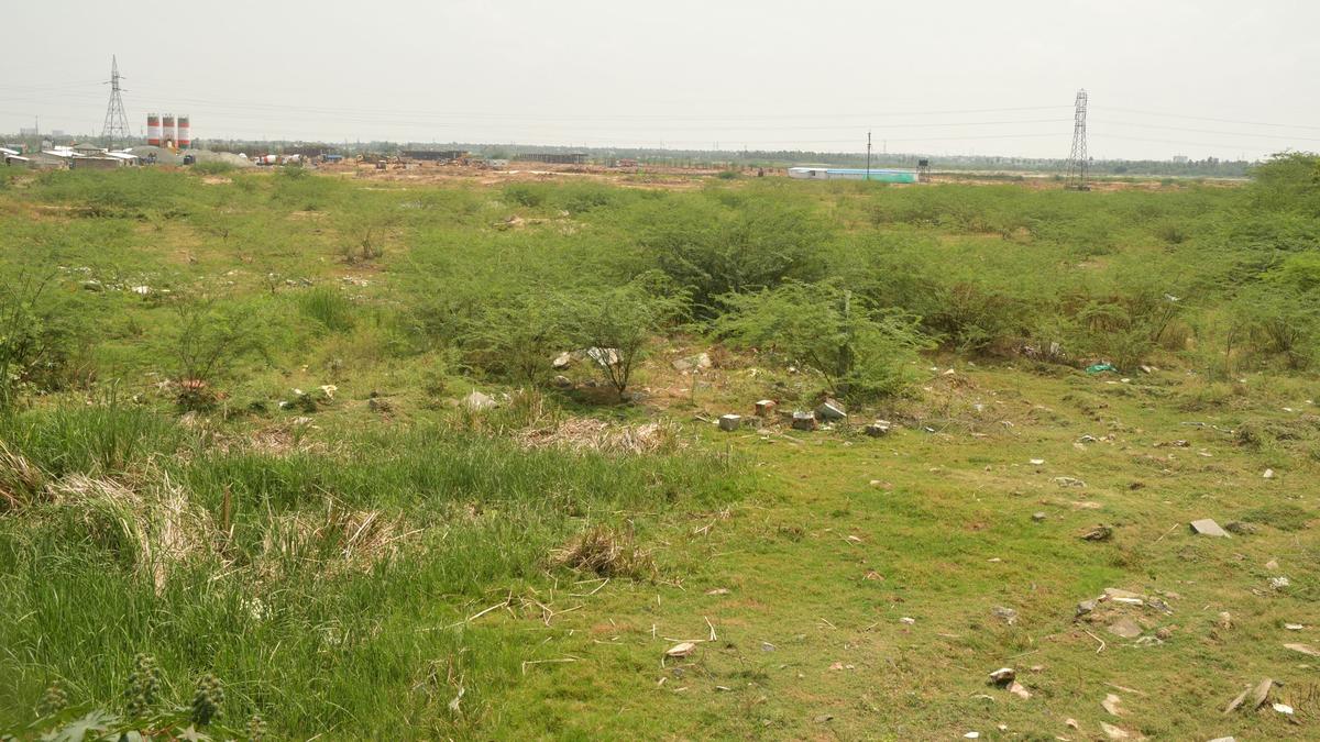 Mixed reaction to non-allocation of funds to Olympic Academy in Tiruchi