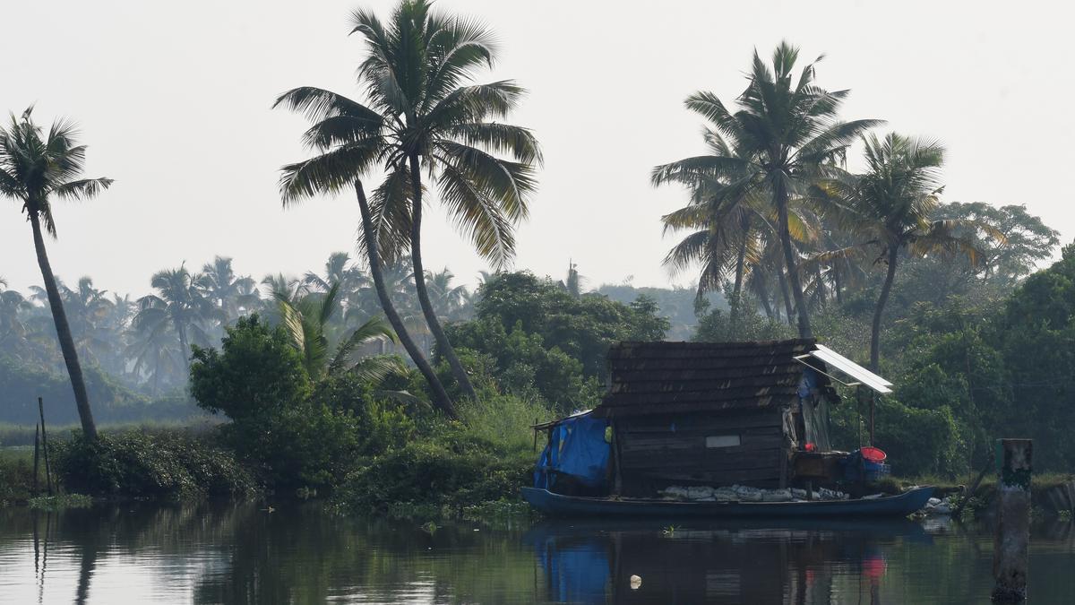 Kochi Corporation seeks CRZ clearance for road project on Thanthonni Thuruthu island