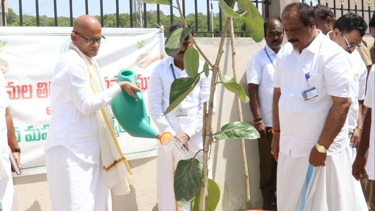 Plans afoot to plant 2 lakh saplings in coordination with forest department, says TTD Addl. EO