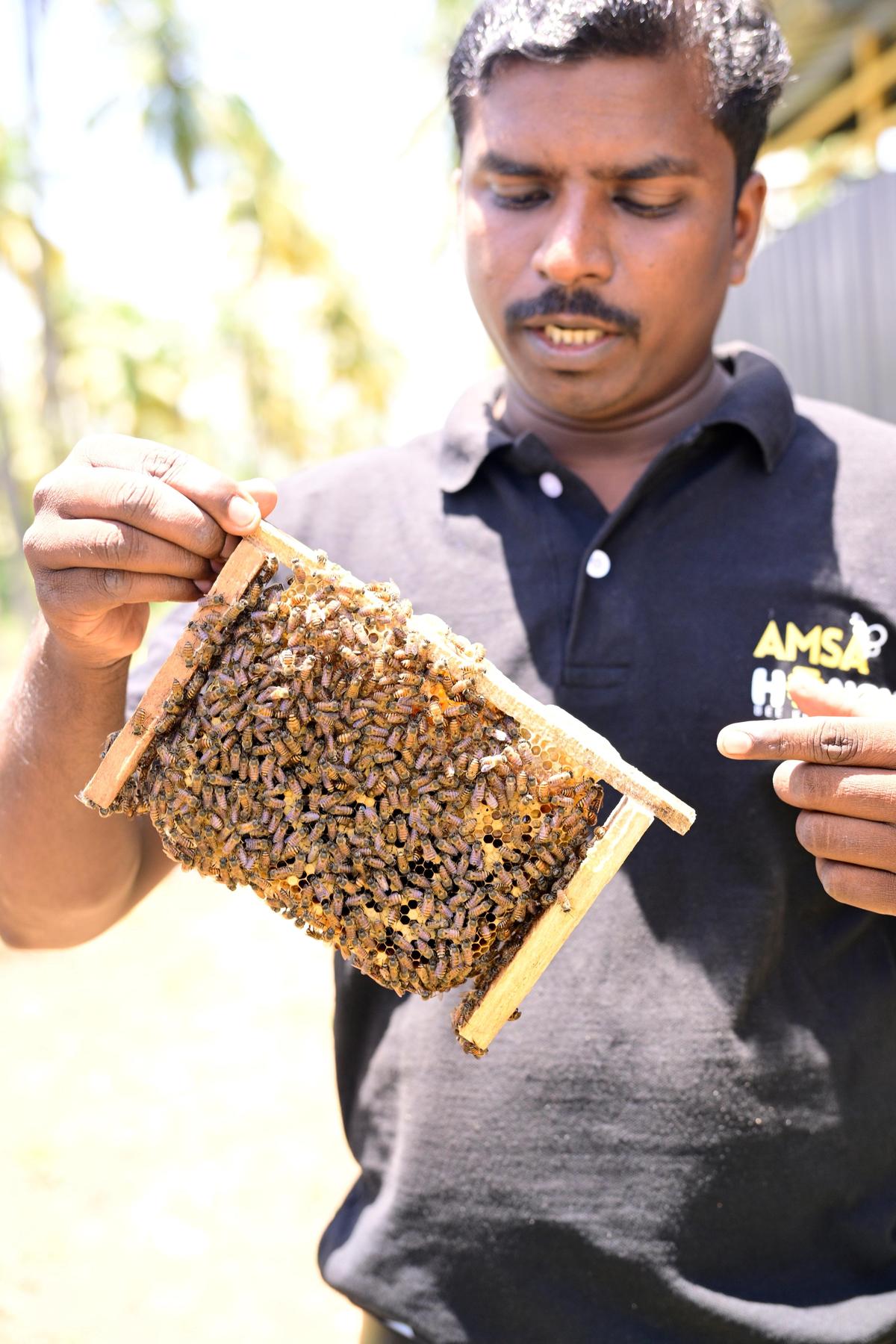 A beekeeper in Cumbum, in Theni district. 