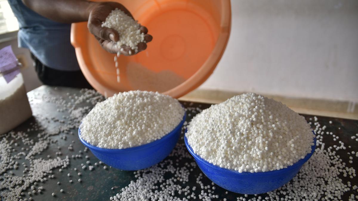 District Collector warns action against using chemicals for producing sago in Salem district