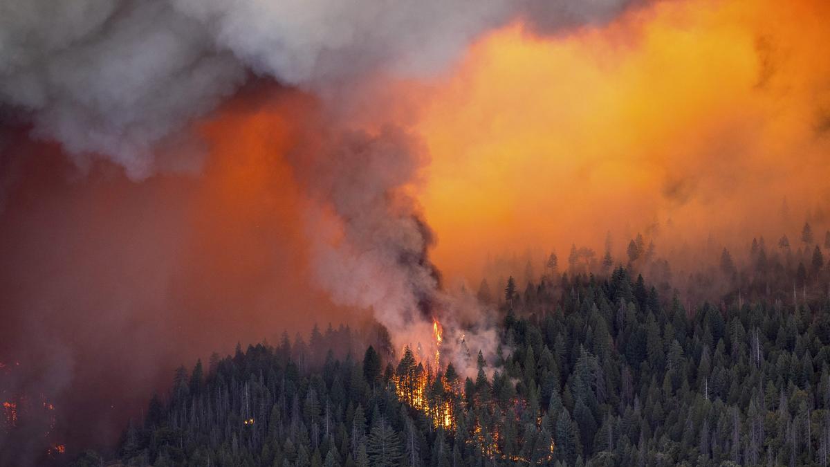 California wildfire explodes; becomes largest in U.S.