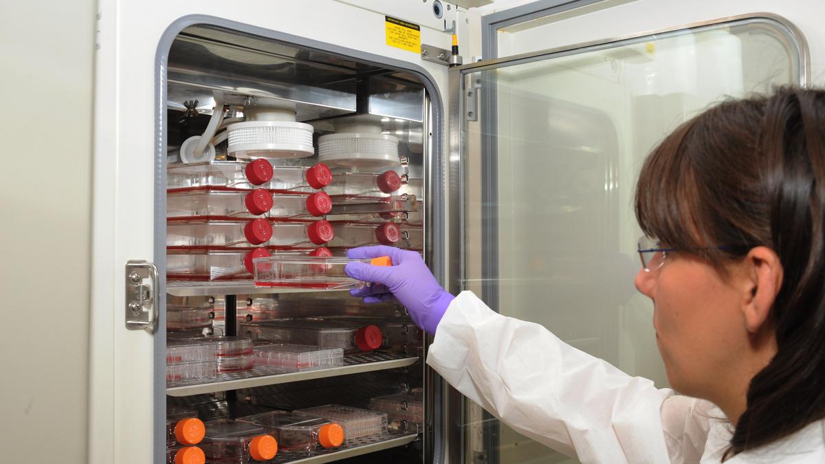 Henrietta Lacks’ family settles lawsuit with a biotech company that used her cells without consent