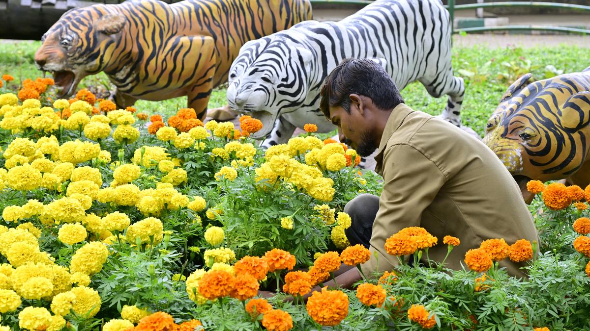 photo pics Independence Day flower show in Bengaluru to open on August 8