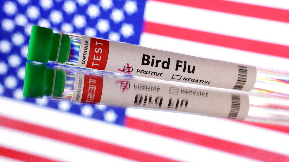 Bird flu virus shows mutations in first severe human case in U.S., CDC says