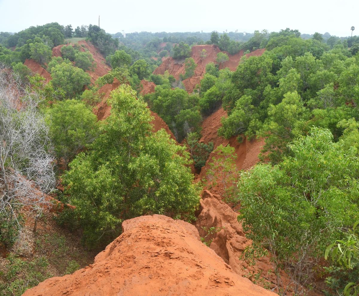 A view of 'Erra Matti Dibbalu' (red sand dunes), located beside the Visakhapatnam-Bheemunipatnam Beach Road.