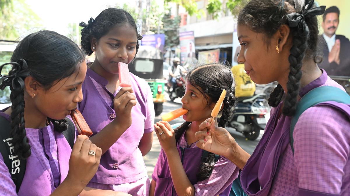 Severe heatwave likely in 30 mandals of North Coastal Andhra Pradesh on March 16, 17