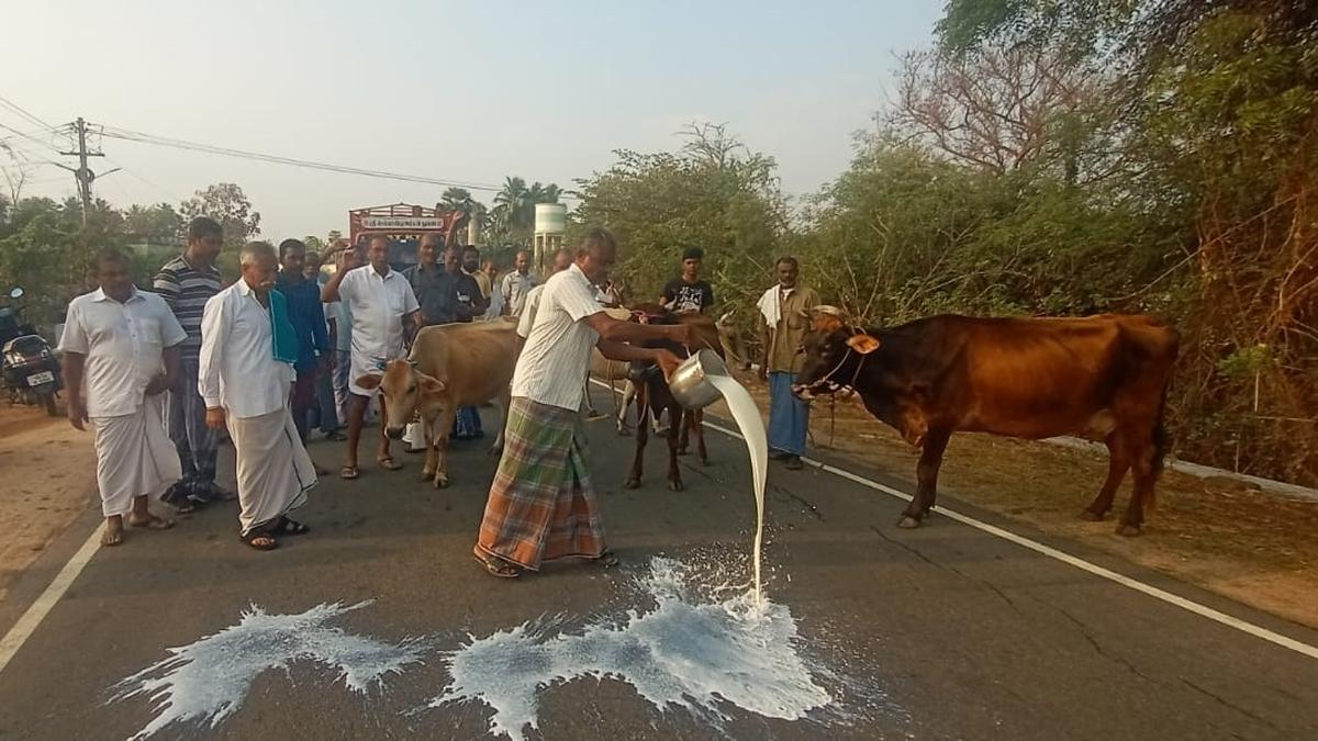 Here are the big stories from Tamil Nadu today