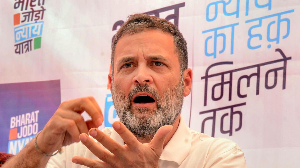'Offered biscuit to dog owner to feed it': Rahul Gandhi on viral video