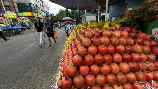A blighted fruit of labour: Distraught pomegranate farmers in Karnataka seek better guidance, support from state