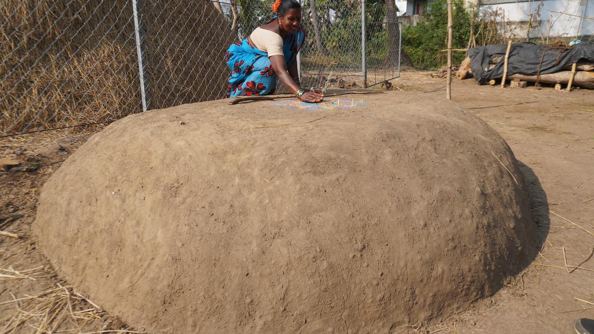 Ancient grain storage tradition fading fast in Srikakulam district
Premium