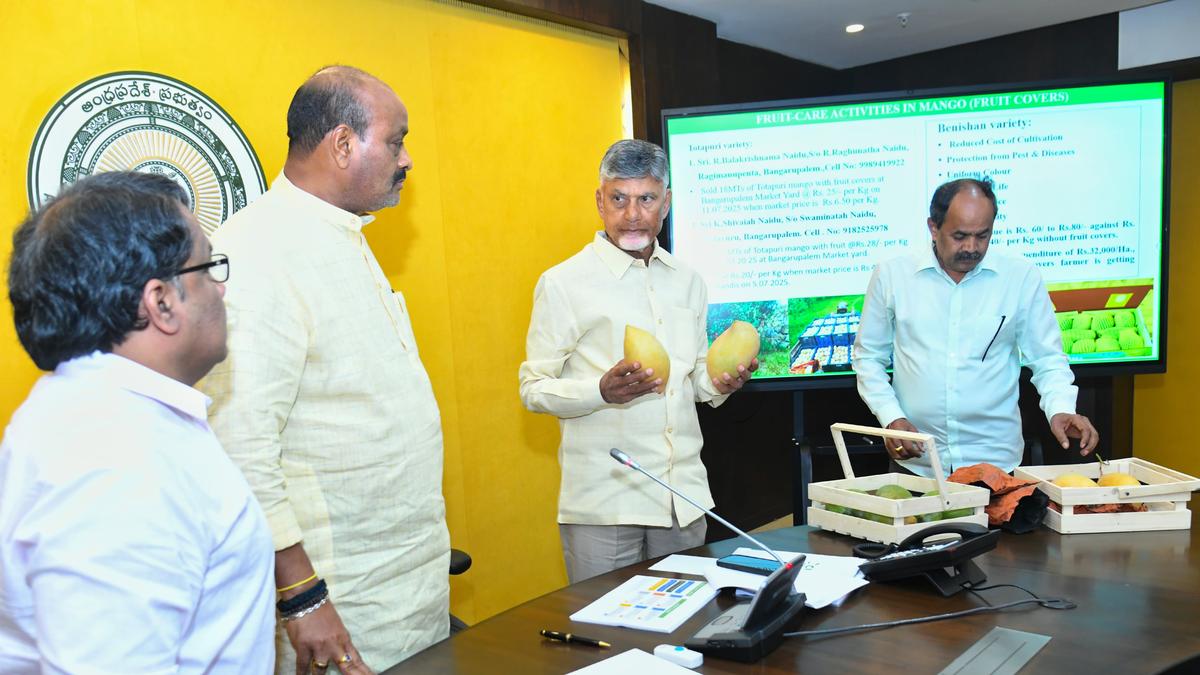 A.P. CM orders satellite survey for crop mapping to ensure better income of farmers