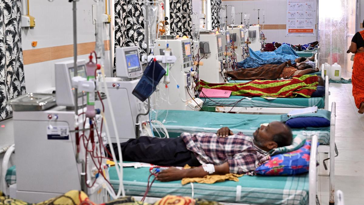 Could unregulated use of alternative medicines be causing kidney disease in  Telangana? - The Hindu