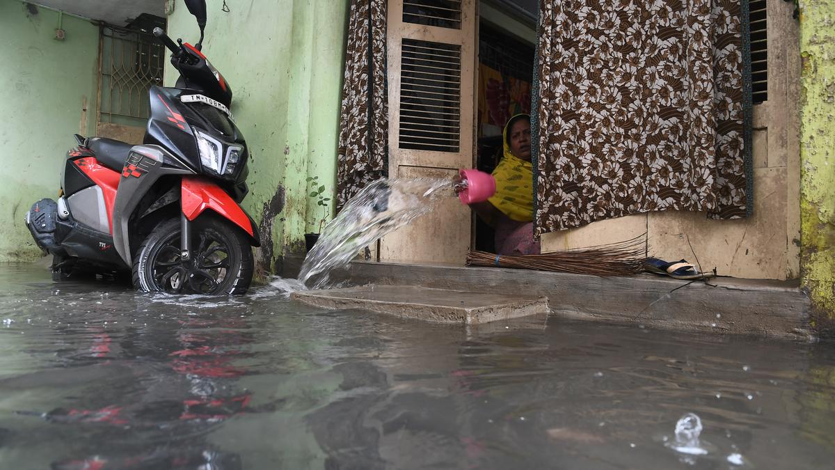 With exams on the horizon, students in dire straits with no books or time