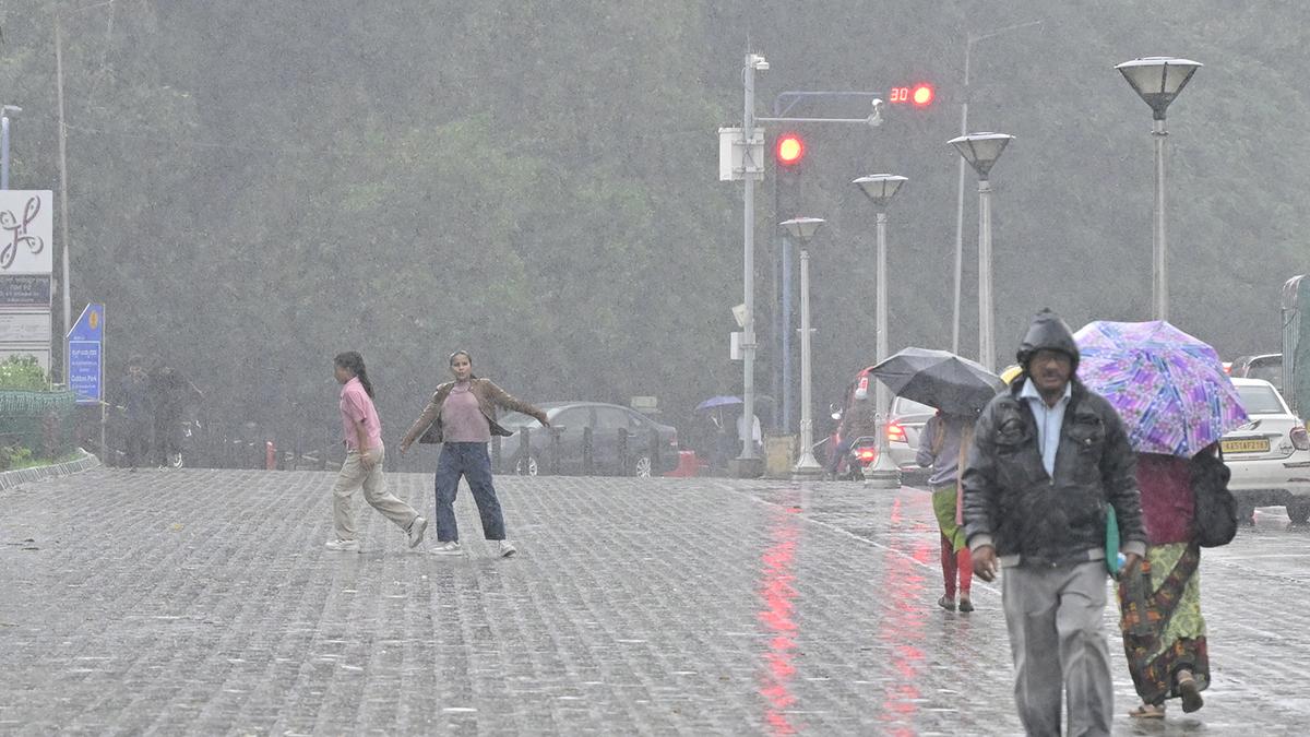 Cyclone Fengal: After overnight rain on December 2, downpour stops in Bengaluru