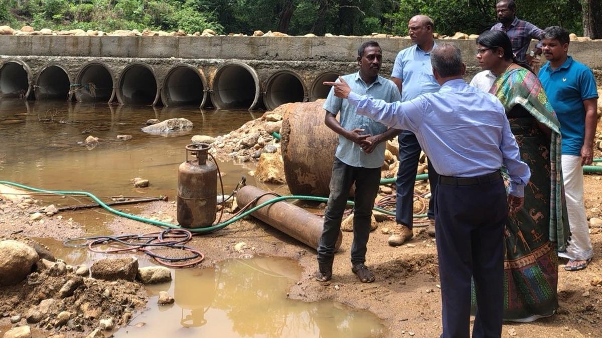 Collector inspects tribal development projects in Pechiparai