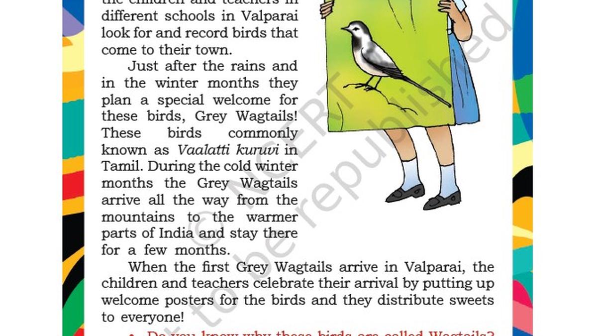 NCERT textbook hails rare welcome given by Valparai students to a winter migrant bird