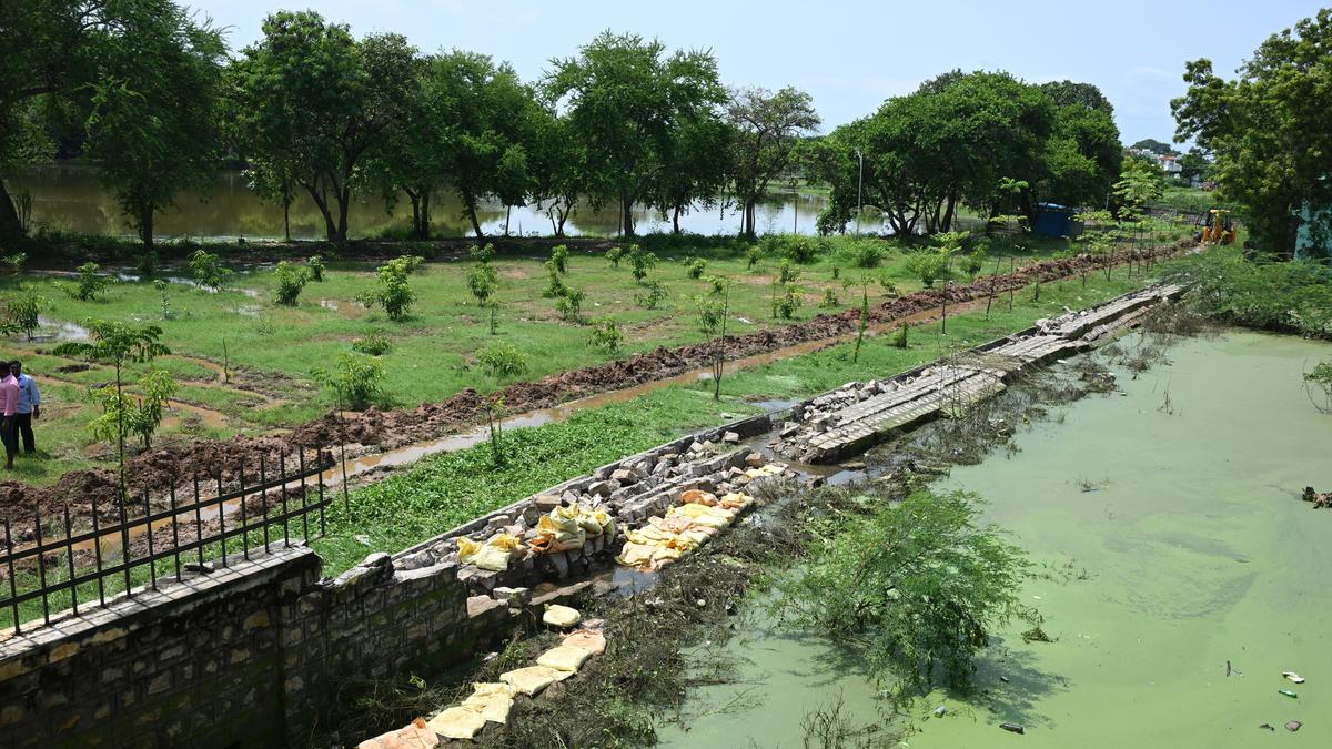 Continuous heavy rain in Madurai leaves several areas inundated, restoration works on