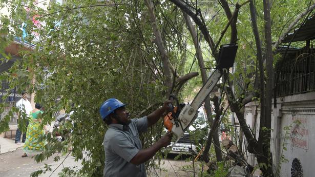 Greater Chennai Corporation begins pruning of trees ahead of the onset of the northeast monsoon