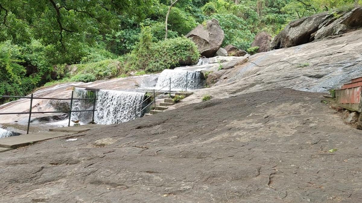 Kovai Courtallam open to visitors from today The Hindu