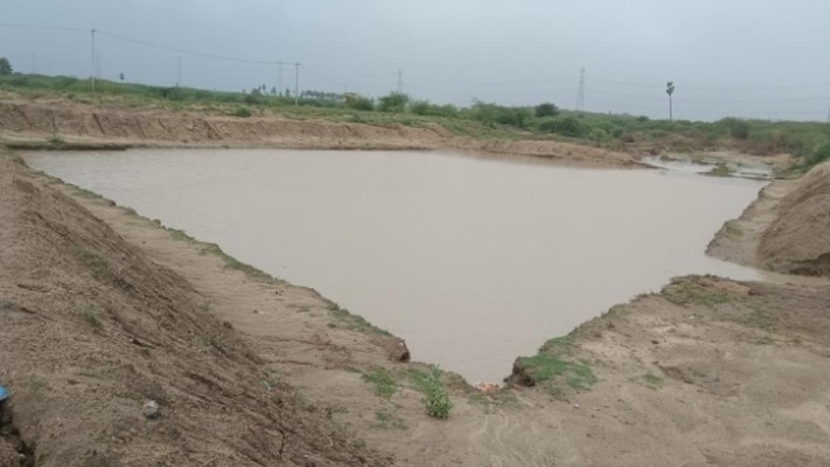 Virudhunagar district is saving rainwater in new ponds