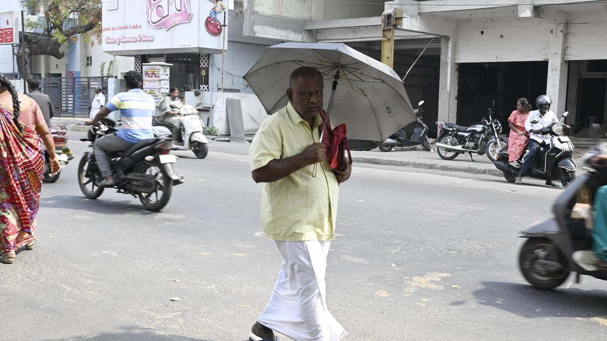 Heat intensifies as temperature climbs to 36 degree Celsius across Erode district