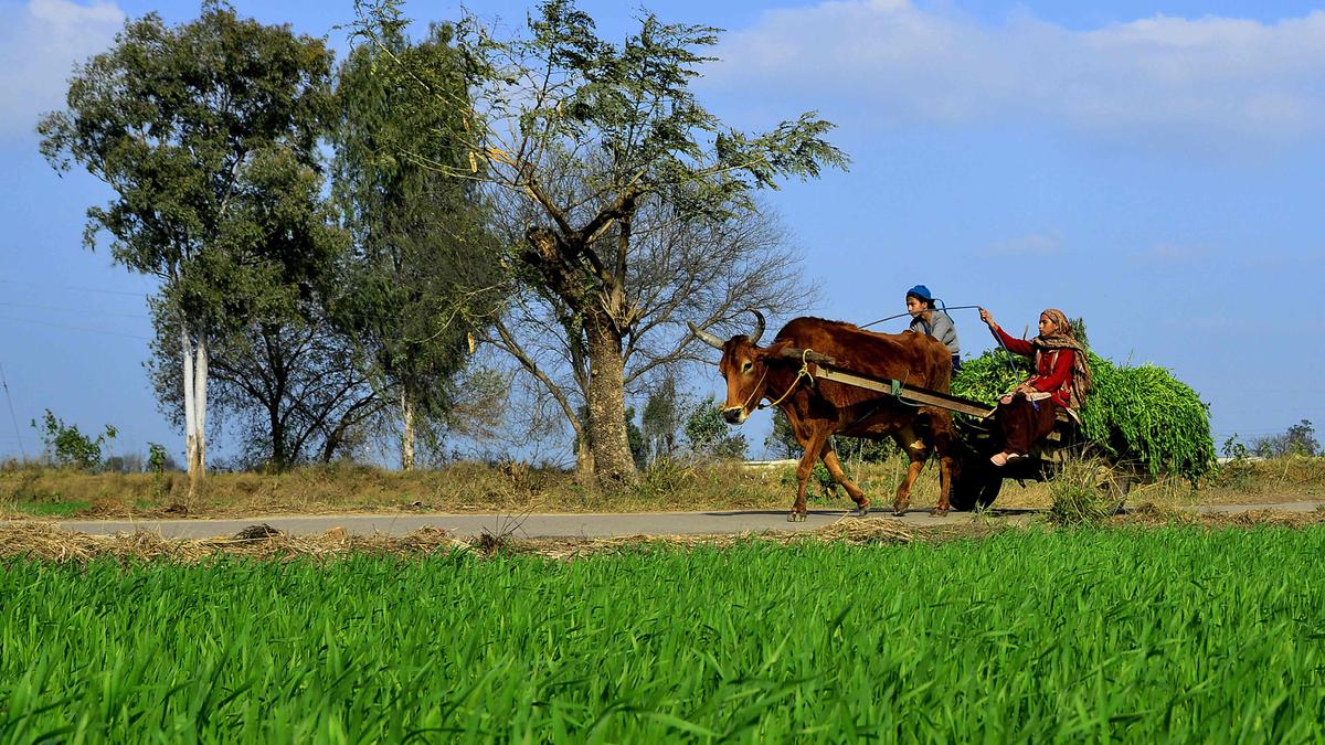 Economic Survey 2022-23 | Growth dips, public investment stagnant in agriculture  sector - The Hindu