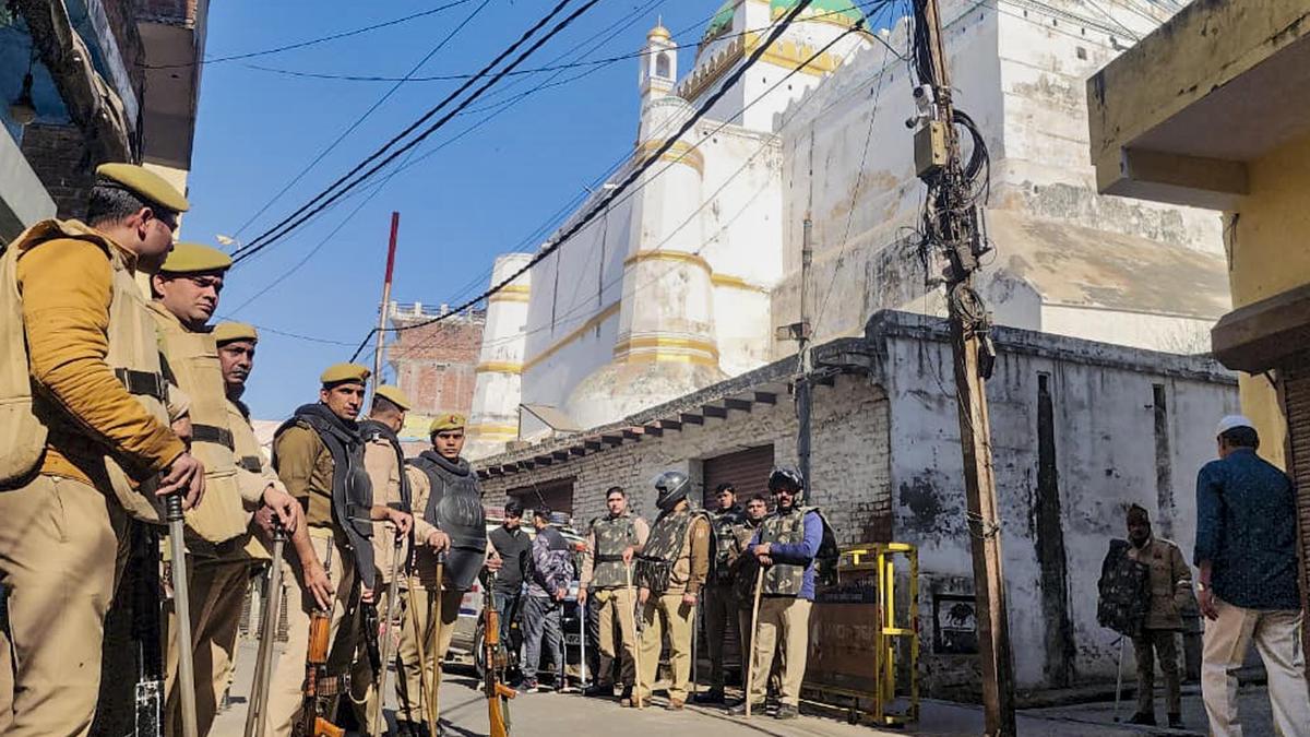 Holi comes once a year, Friday Namaz 52 times: Sambhal cop's remarks spark row