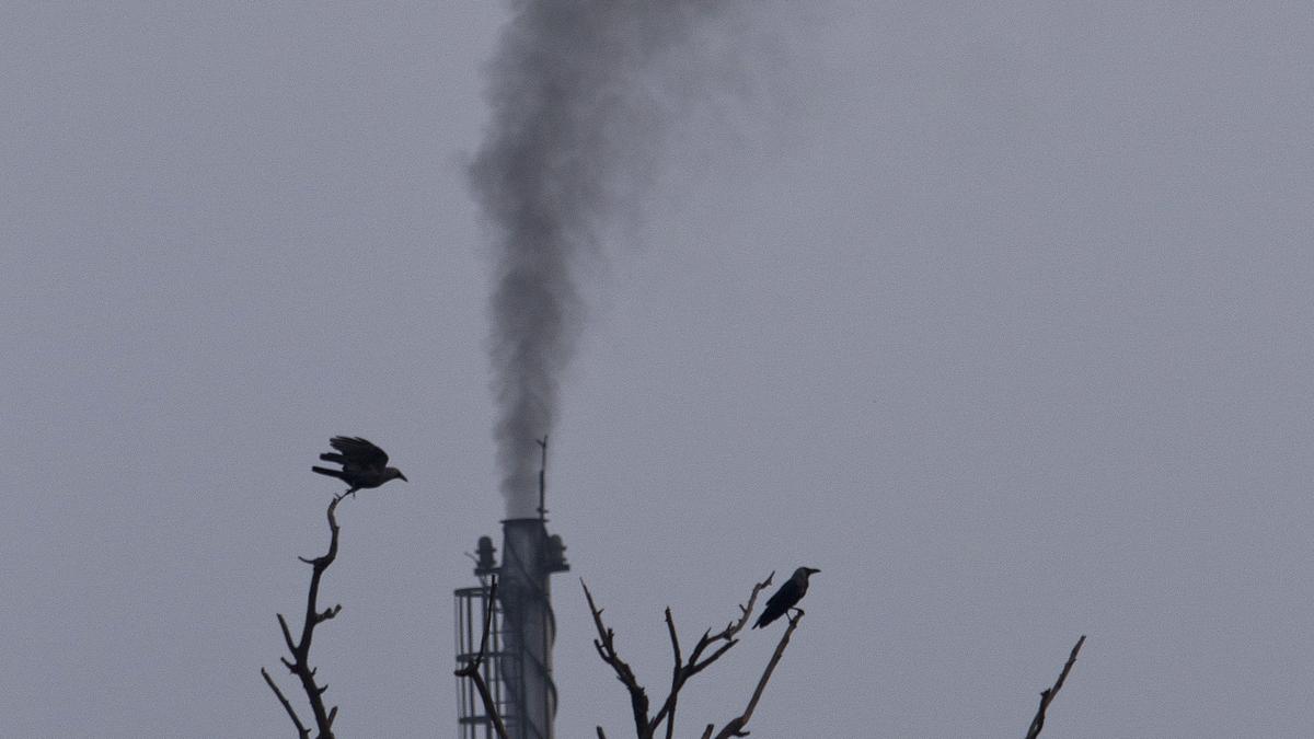 Delhi is most polluted city globally; 13 of world’s 20 most polluted cities in India: report