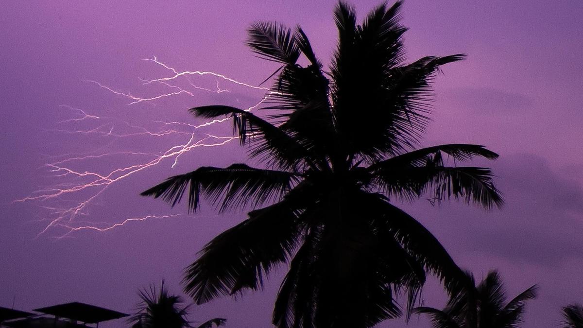 Summer showers, strong winds lash district