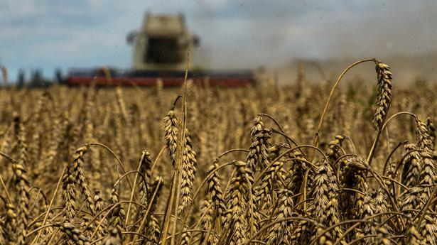Key center expects ‘big uptick’ in Ukraine grain shipments