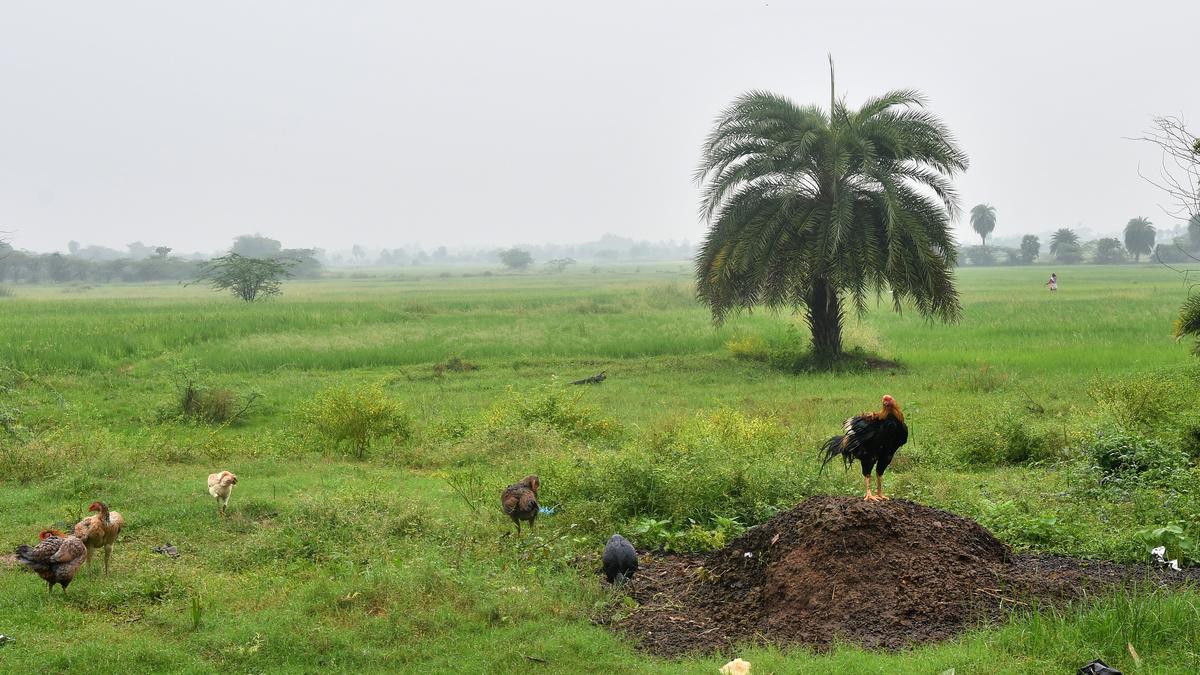 Louis Berger appointed consultant for Parandur airport, to do detailed techno economic report