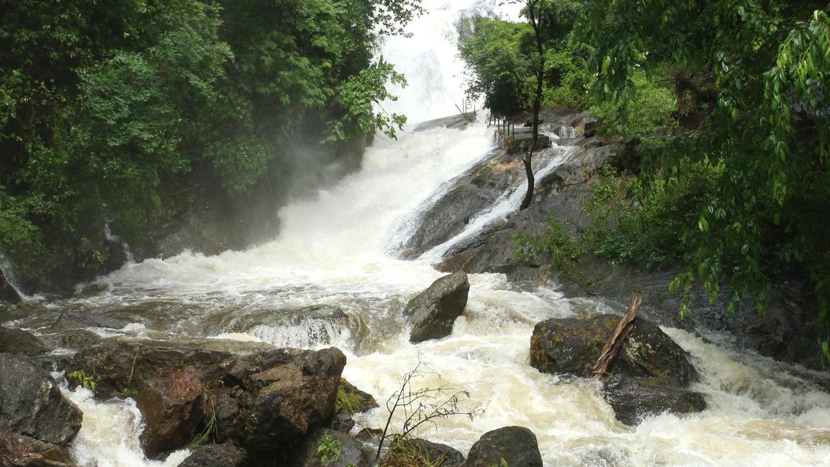 Torrential downpour lashes Coimbatore district