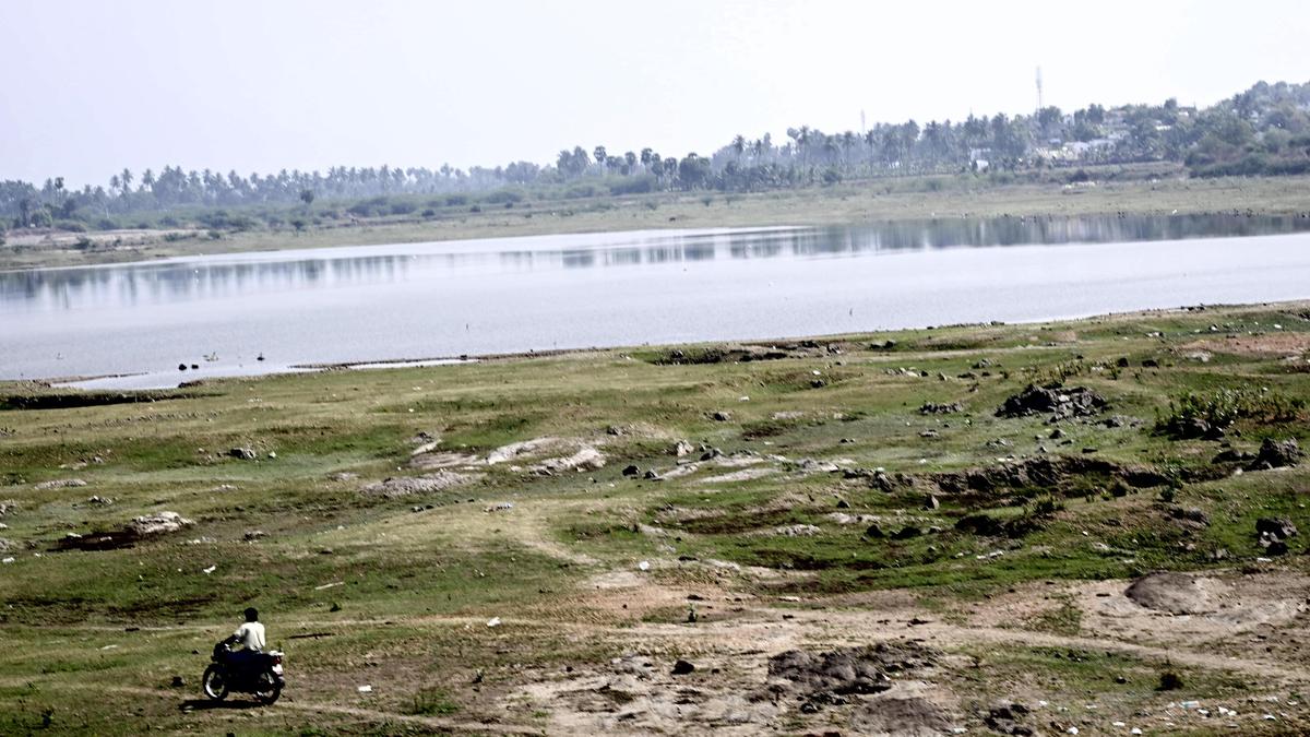 Tamil Nadu election 2026: Vedaparai reservoir project remains a long-pending demand in Anthiyur constituency