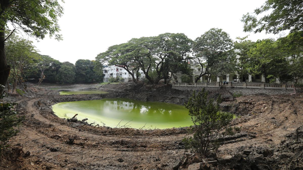 Mermaid Pond on the YWCA campus being restored