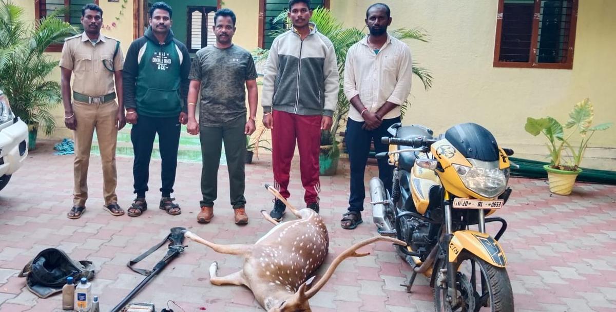 Two persons flee after poaching spotted deer in Tiruvannamalai