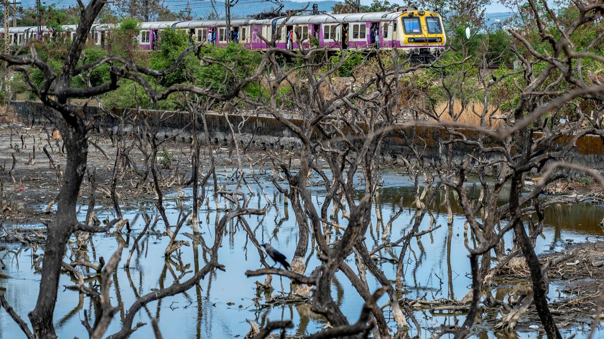 Mumbai suburban train services partially hit due to non-completion of rail works; commuters fume