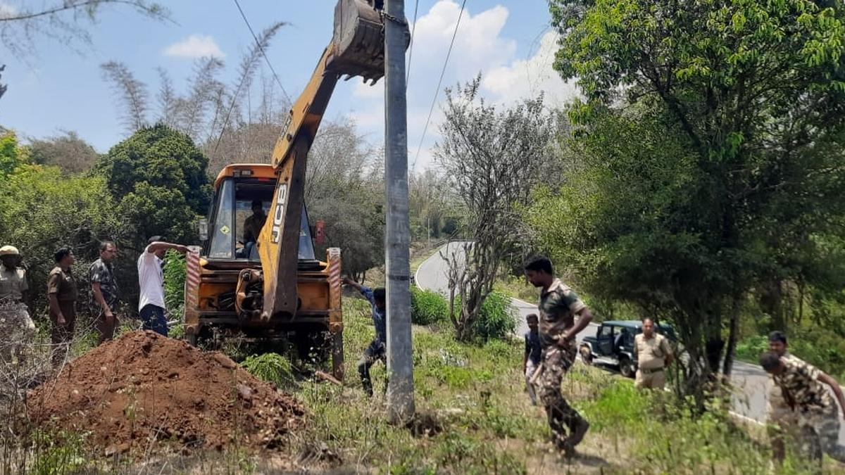 Elephant deaths | Low-lying power lines realigned, heights increased in Erode’s Hasanur forest areas 