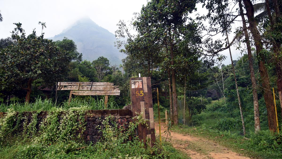 Light at the end of the tunnel?