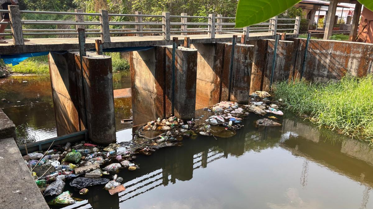 Udupi DC asks local bodies to set up special care waste collection centres