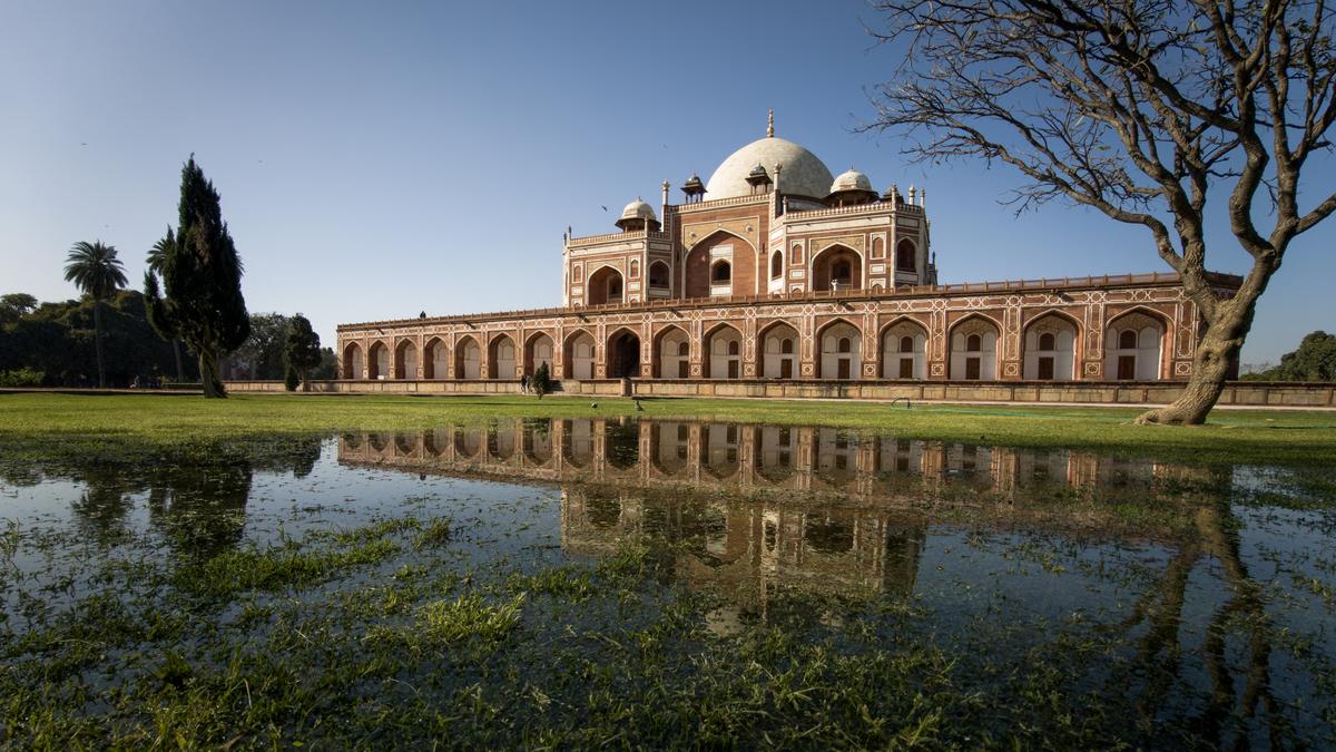 Delhi govt. to launch tourism fellowship programme for youth