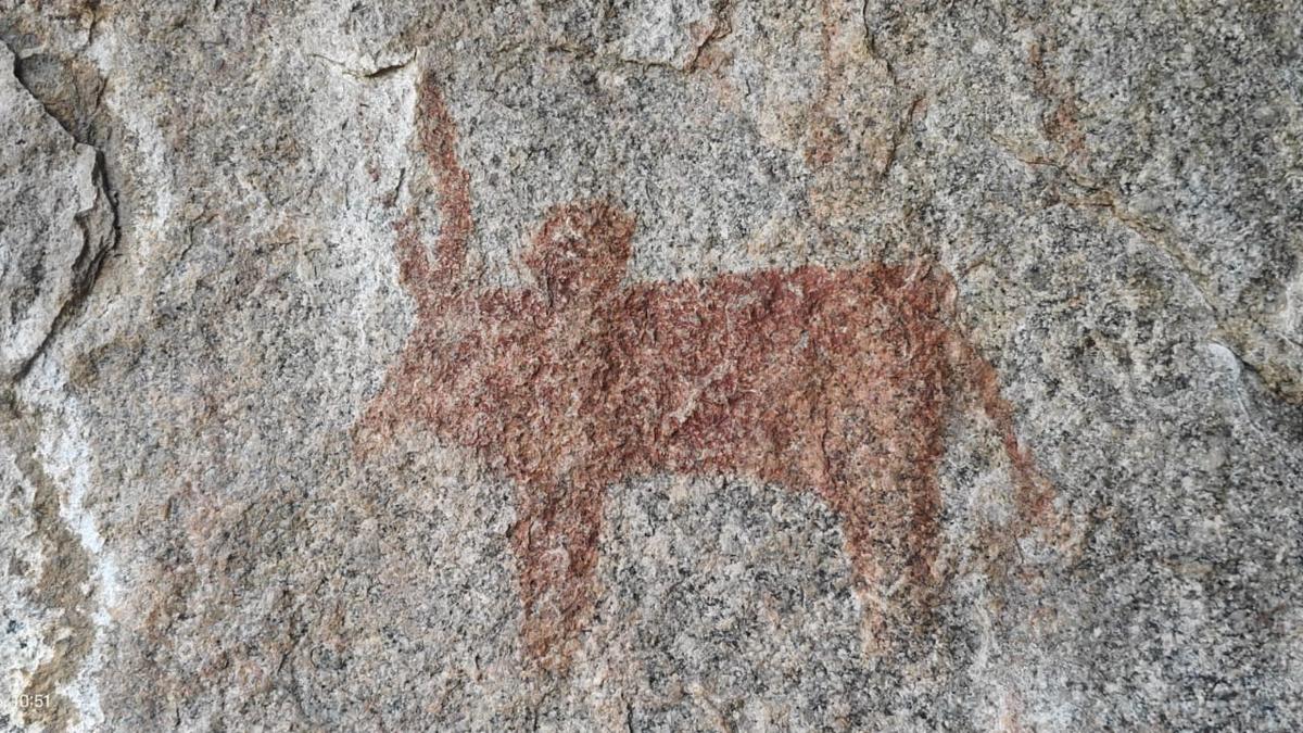 Archaeology enthusiasts seek conservation of rock art sites in Siddipet