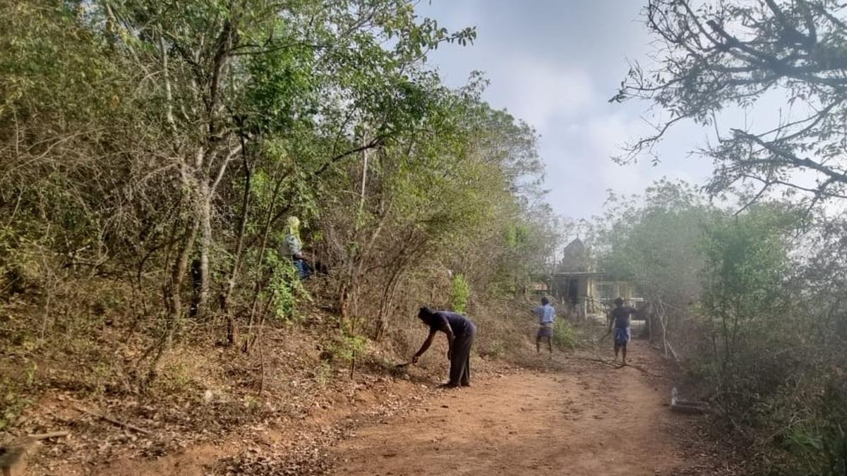 400 km of fire lines created in Coimbatore Forest Division in view of summer