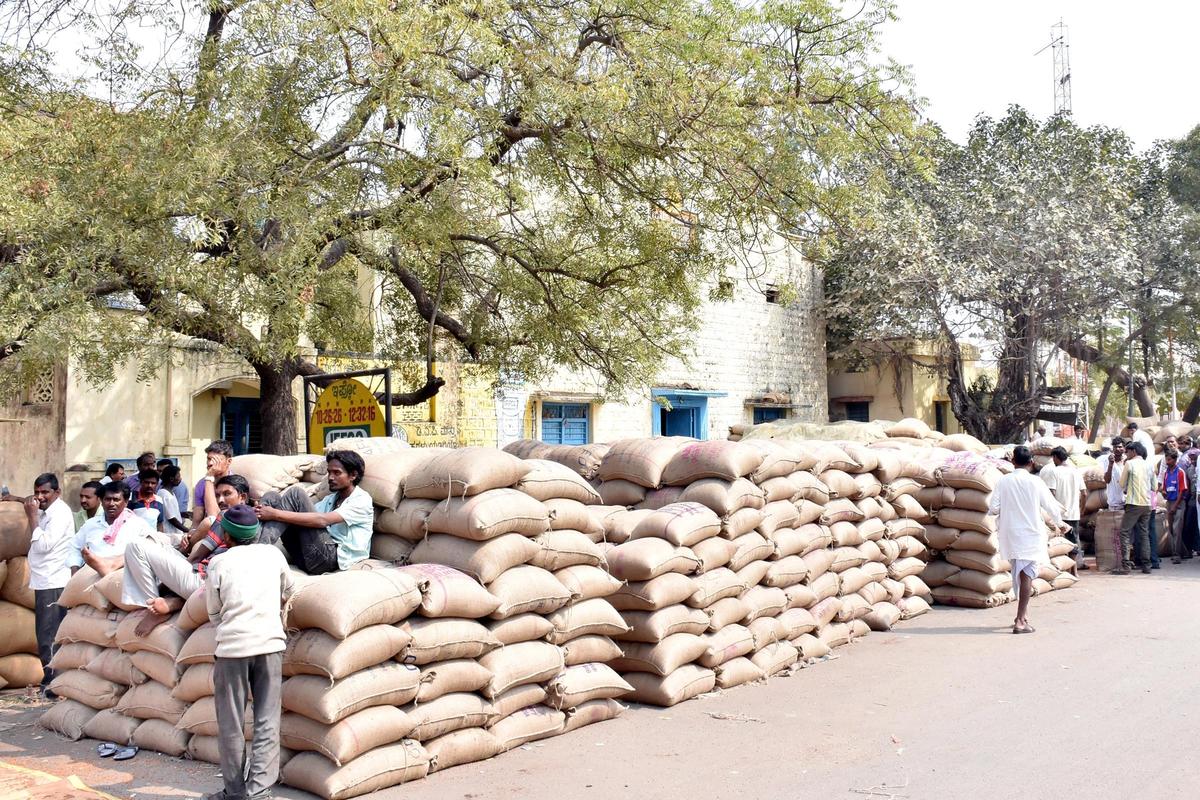 उपायुक्त का कहना है कि खरीद केंद्रों पर पंजीकरण और खरीद प्वाइंट ऑफ सेल मशीनों का उपयोग करके की जाएगी और आधार-आधारित बायोमेट्रिक प्रमाणीकरण अनिवार्य होगा।