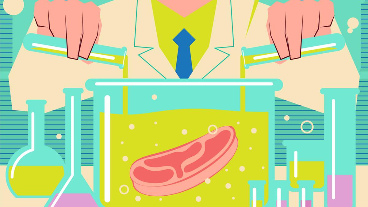 Will lab-grown meat, or cultured meat, find takers in India?