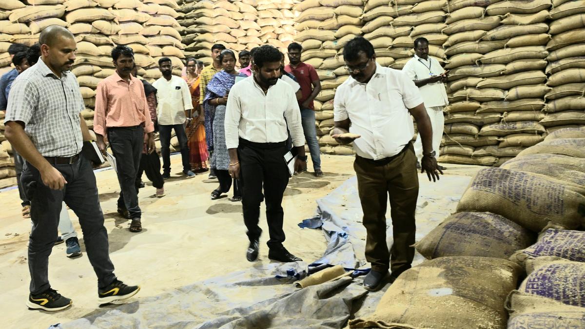 Beetle menace: civic officials inspect FCI godown in Thoothukudi